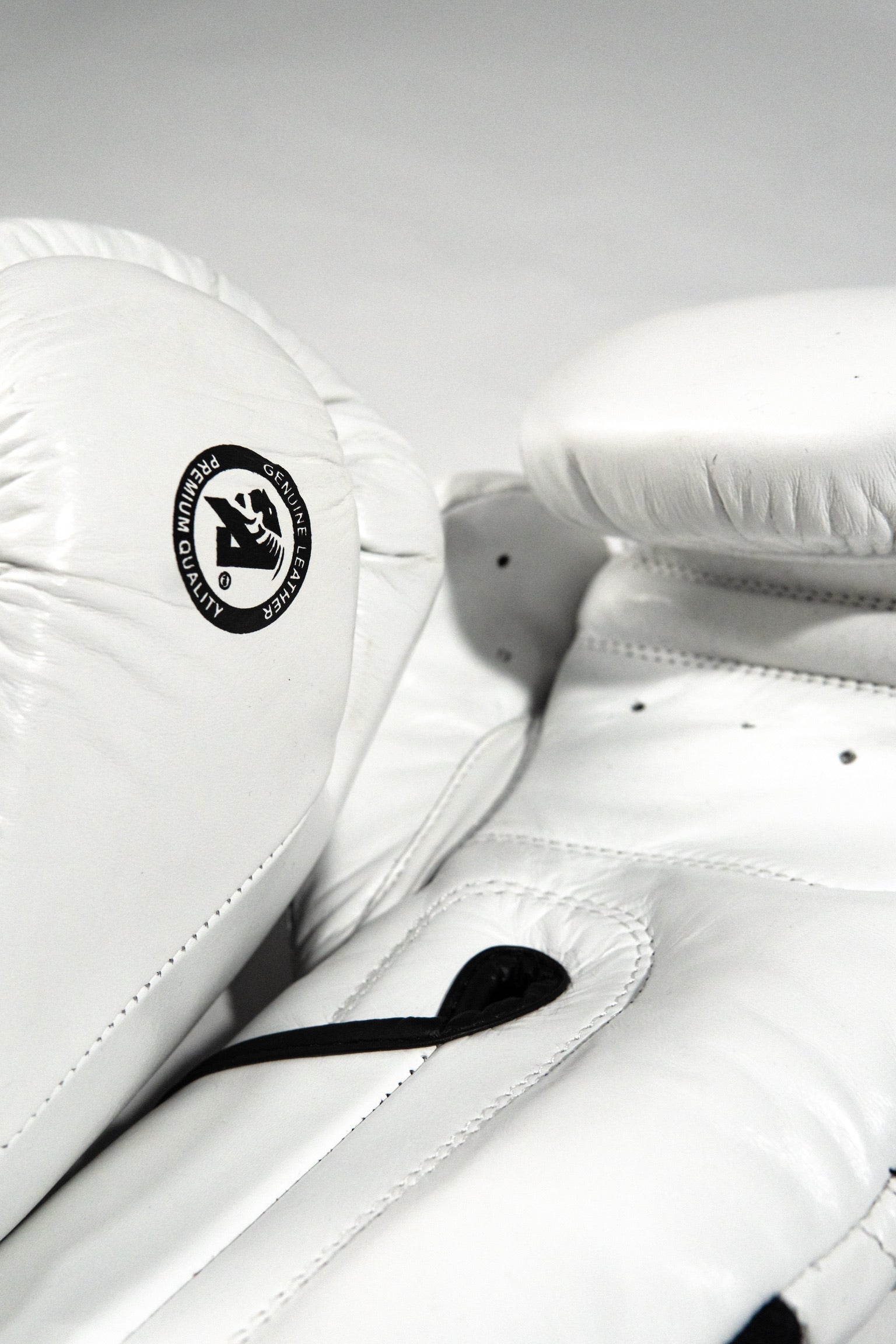 AZLAN “S10” BOXING GLOVES WHITE/BLACK