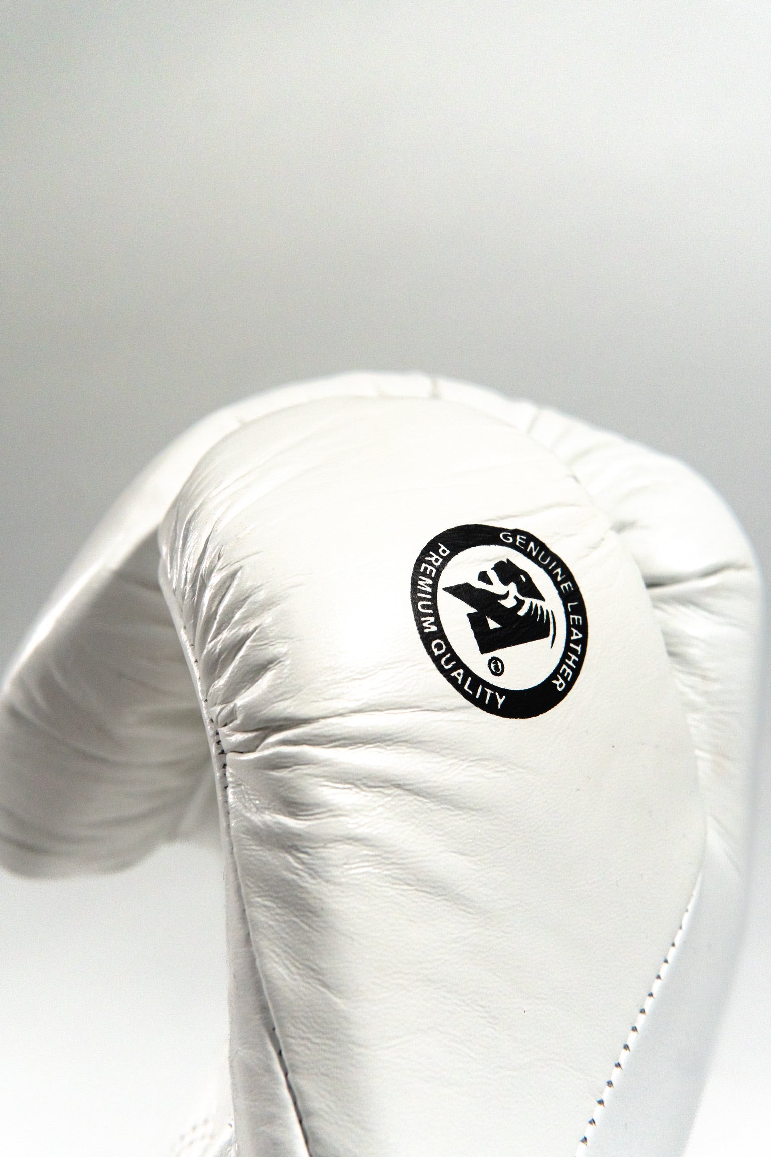 AZLAN “S10” BOXING GLOVES WHITE/BLACK