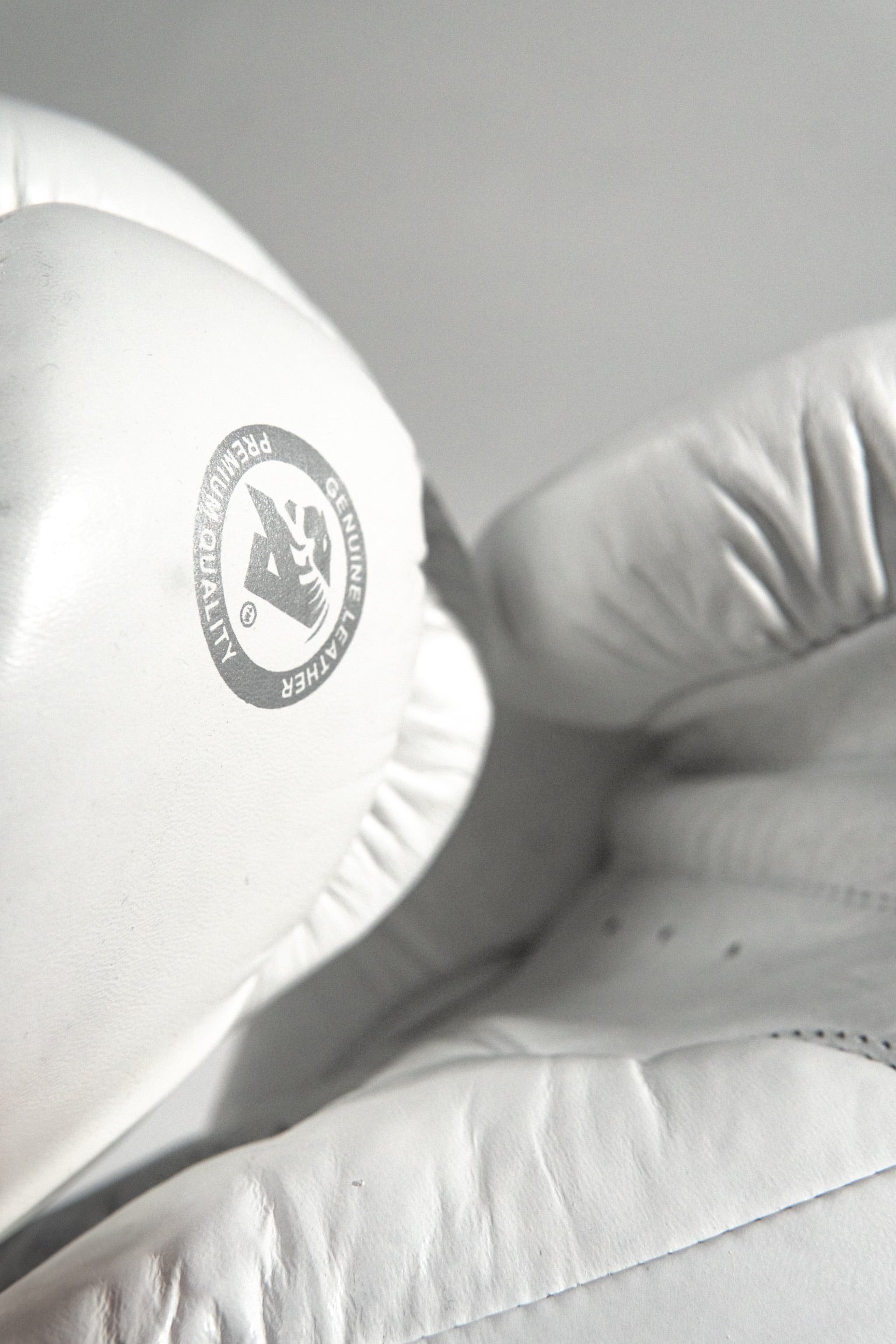 AZLAN “S10” BOXING GLOVES WHITE/SILVER