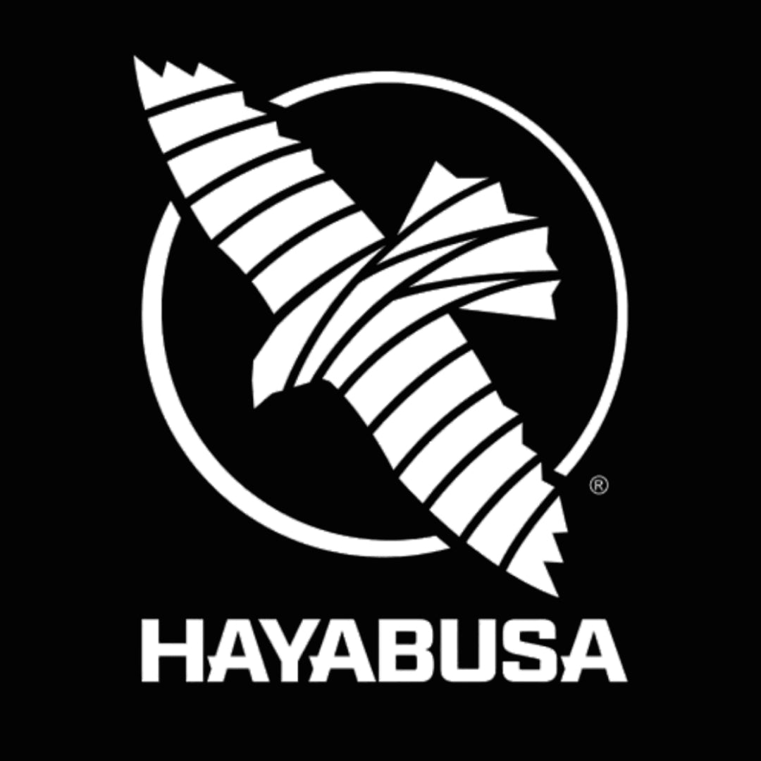 Hayabusa_Logo_some