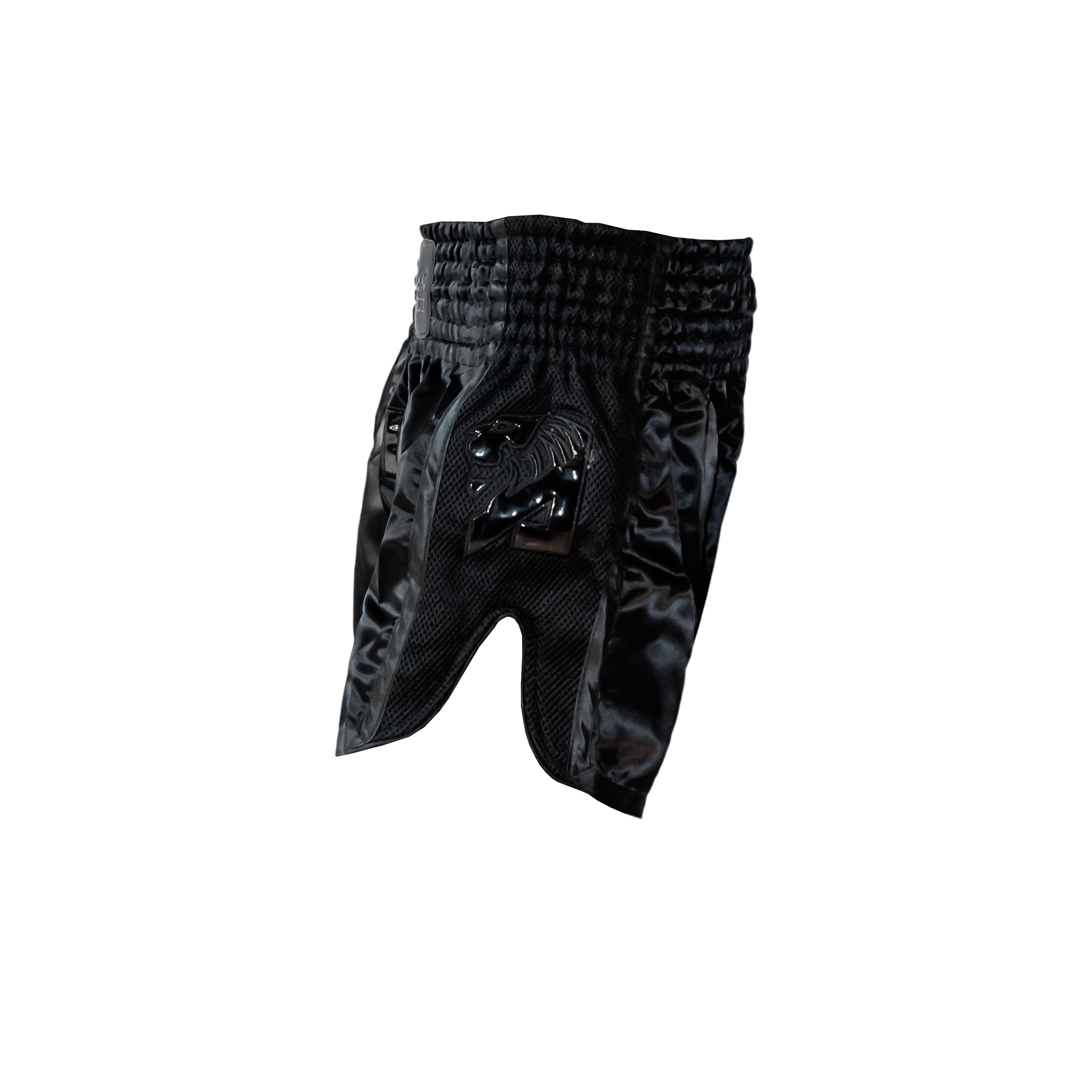 AZLAN MUAY THAI SHORTS "BLACK BEAST"