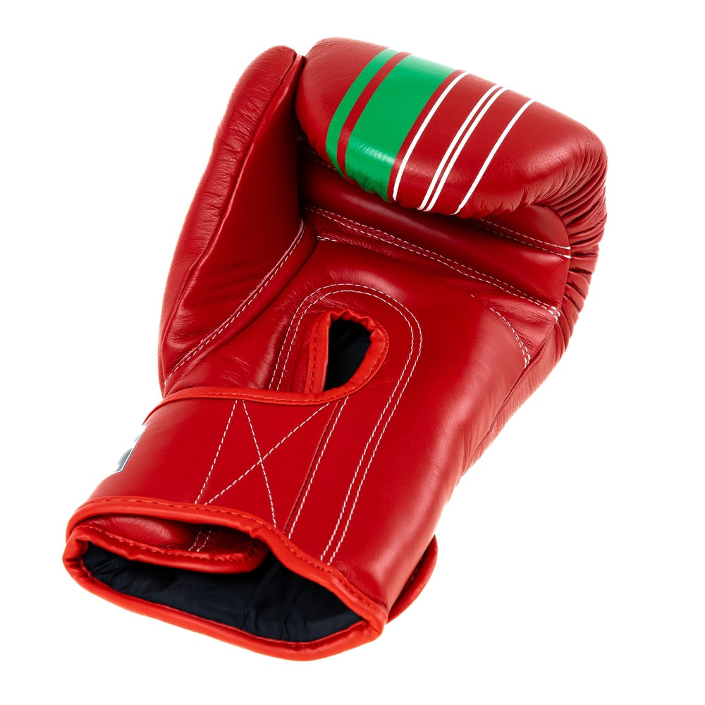 BOOSTER V9 MOROCCO BOXING GLOVES