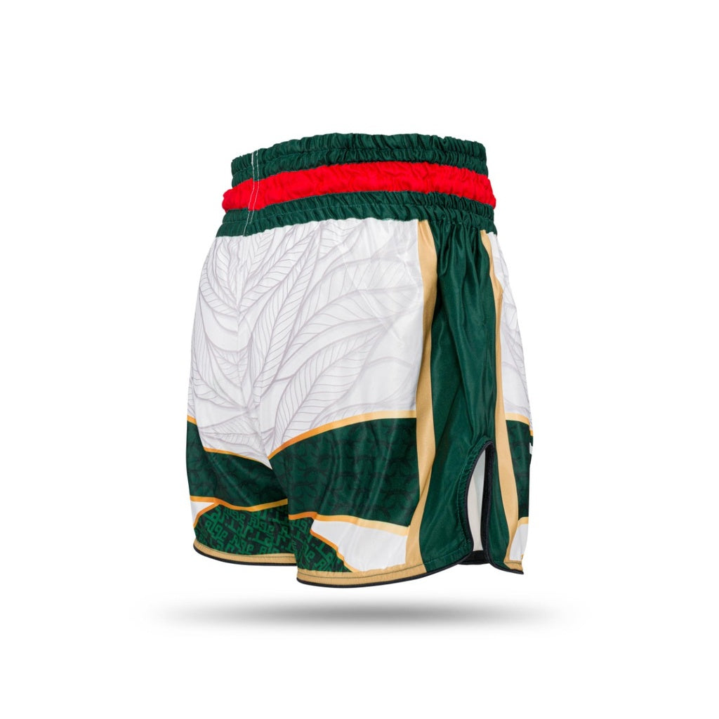 BOOSTER “Algeria” SHORTS