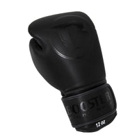 BOOSTER PRO BGL VX 1